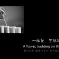 800無天茶坊24