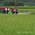 800無天茶坊04
